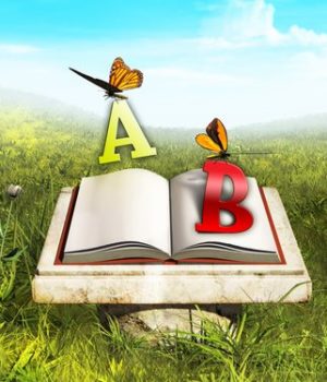 What are The Focuses of Environmental Education